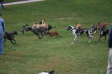 When a gaggle becomes a herd-Highslide JS