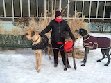 Out for a walk with the pack.