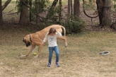 Eva fears being trampled by the playful Danforth