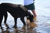 Kitty did a lot of sampling the salt water